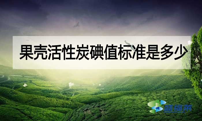 果殼活性炭碘值標準是多少？與其他活性炭相差多少？